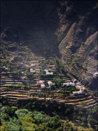 Terraced Farmland